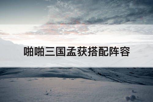 啪啪三国孟获搭配阵容