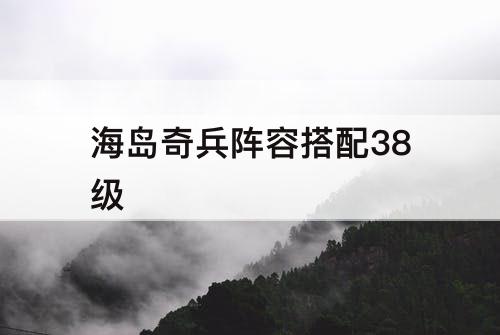 海岛奇兵阵容搭配38级