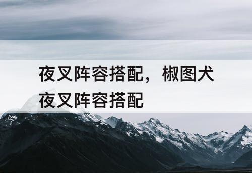 夜叉阵容搭配，椒图犬夜叉阵容搭配