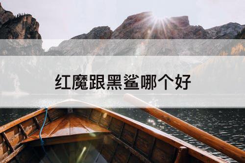红魔跟黑鲨哪个好