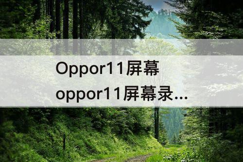 Oppor11屏幕 oppor11屏幕录制怎么弄
