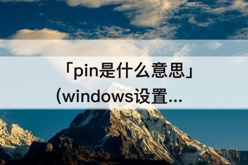 「pin是什么意思」(windows设置pin是什么意思)