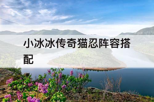 小冰冰传奇猫忍阵容搭配