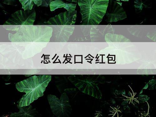 怎么发口令红包