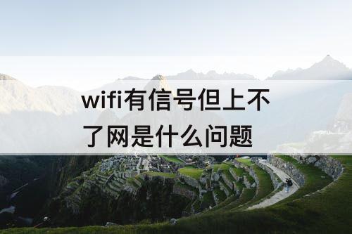 wifi有信号但上不了网是什么问题