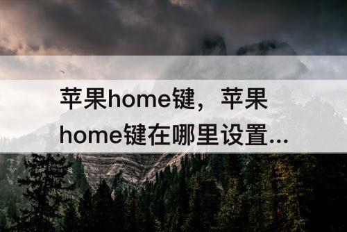 苹果home键，苹果home键在哪里设置6p
