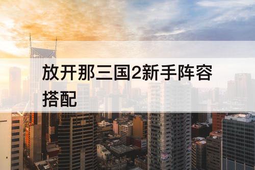 放开那三国2新手阵容搭配