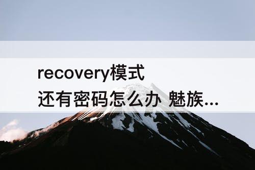 recovery模式还有密码怎么办 魅族手机recovery模式还有密码怎么办