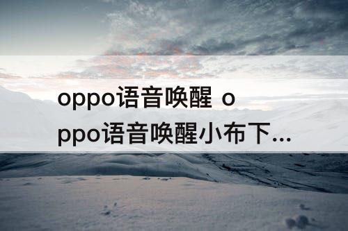 oppo语音唤醒 oppo语音唤醒小布下载