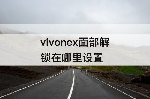 vivonex面部解锁在哪里设置