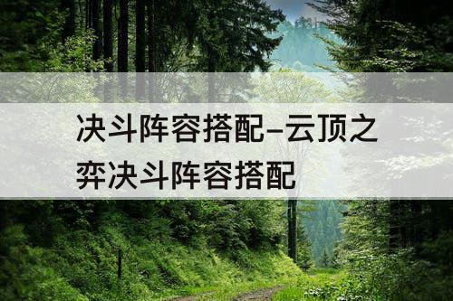 决斗阵容搭配-云顶之弈决斗阵容搭配