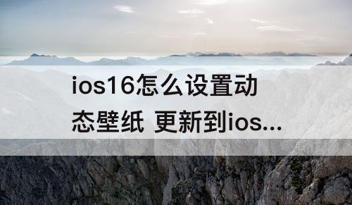 ios16怎么设置动态壁纸 更新到ios16怎么设置动态壁纸