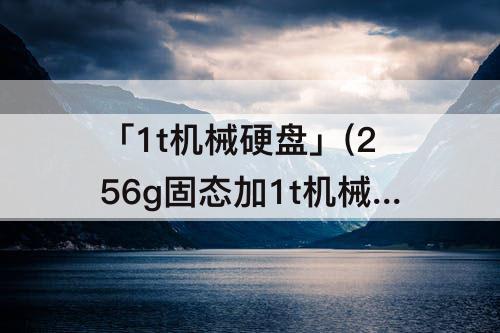 「1t机械硬盘」(256g固态加1t机械硬盘怎么分区)