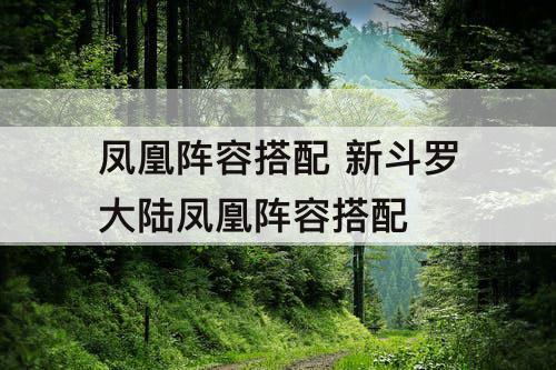 凤凰阵容搭配 新斗罗大陆凤凰阵容搭配