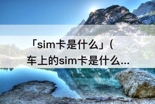 「sim卡是什么」(车上的sim卡是什么卡)