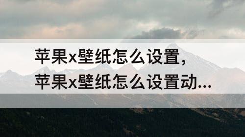 苹果x壁纸怎么设置，苹果x壁纸怎么设置动态