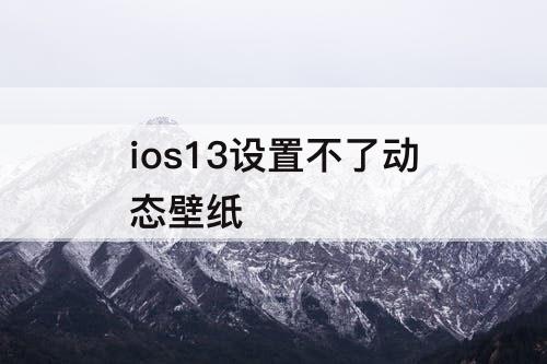ios13设置不了动态壁纸