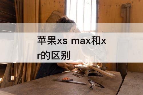 苹果xs max和xr的区别