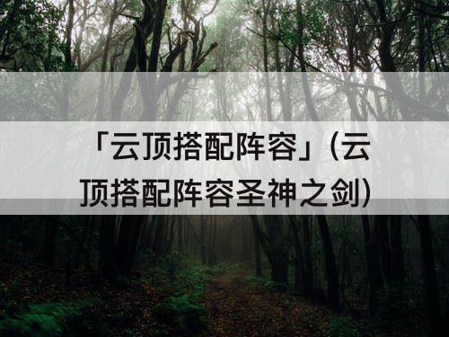 「云顶搭配阵容」(云顶搭配阵容圣神之剑)