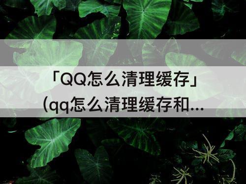「QQ怎么清理缓存」(qq怎么清理缓存和垃圾清理)