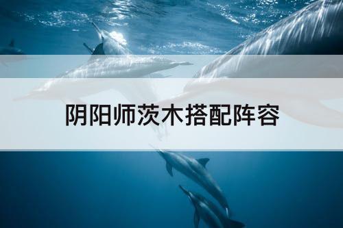 阴阳师茨木搭配阵容