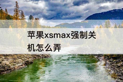 苹果xsmax强制关机怎么弄