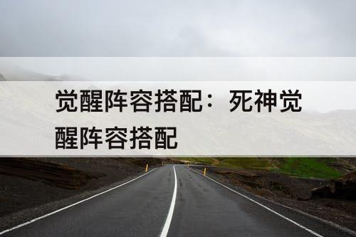 觉醒阵容搭配：死神觉醒阵容搭配