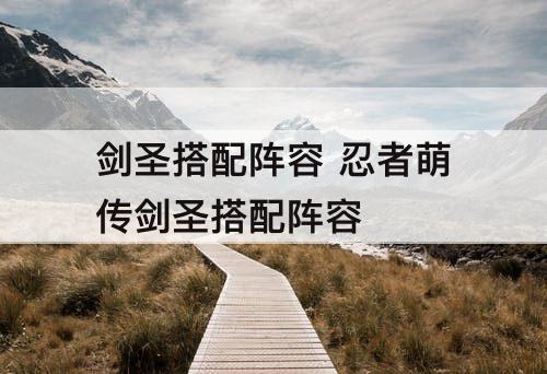 剑圣搭配阵容 忍者萌传剑圣搭配阵容