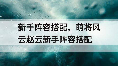 新手阵容搭配，萌将风云赵云新手阵容搭配