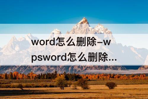 word怎么删除-wpsword怎么删除分节符