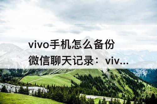 vivo手机怎么备份微信聊天记录：vivo手机怎么备份微信聊天记录到云端