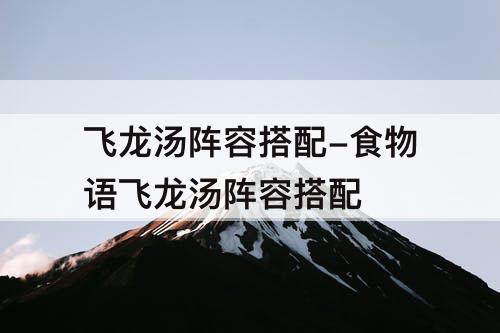 飞龙汤阵容搭配-食物语飞龙汤阵容搭配