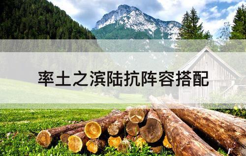 率土之滨陆抗阵容搭配