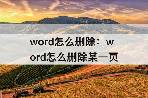 word怎么删除：word怎么删除某一页