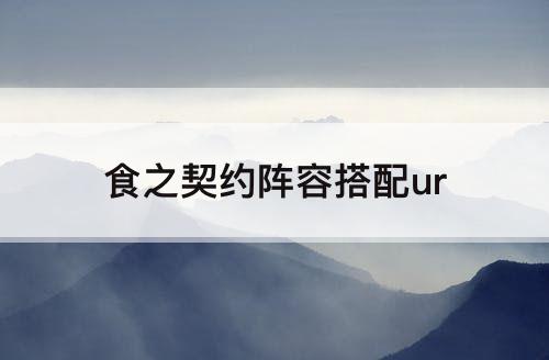 食之契约阵容搭配ur