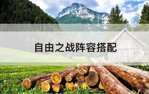 自由之战阵容搭配