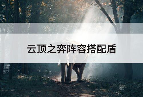 云顶之弈阵容搭配盾