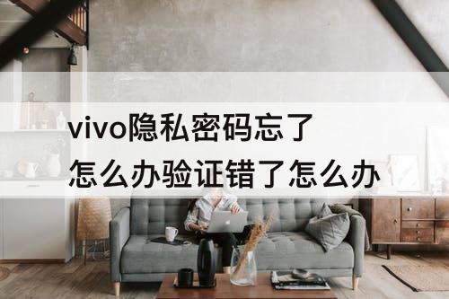 vivo隐私密码忘了怎么办验证错了怎么办
