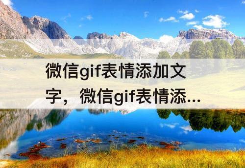 微信gif表情添加文字，微信gif表情添加文字怎么编辑gif动图加入文字