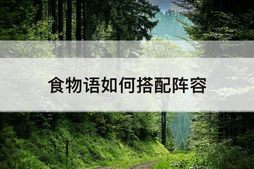 食物语如何搭配阵容