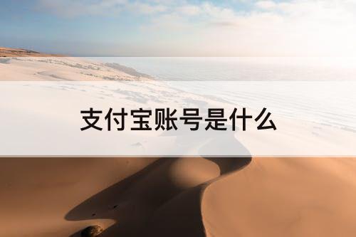 支付宝账号是什么