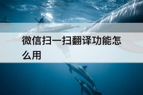 微信扫一扫翻译功能怎么用