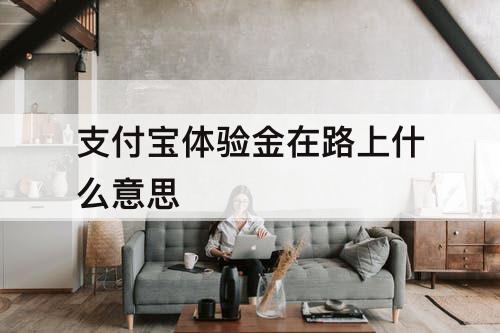 支付宝体验金在路上什么意思