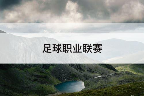 足球职业联赛