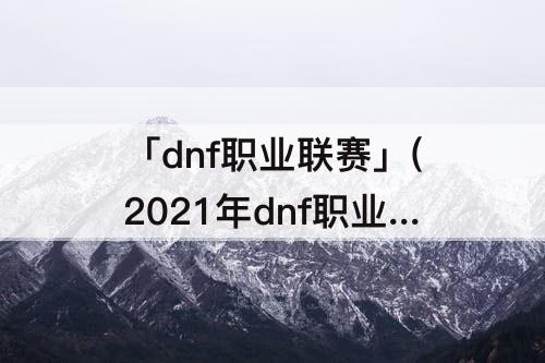 「dnf职业联赛」(2021年dnf职业联赛结果)