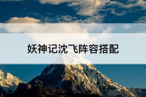 妖神记沈飞阵容搭配