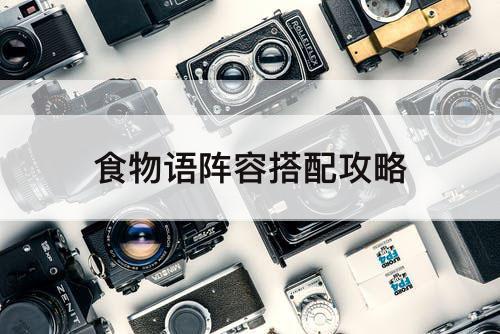 食物语阵容搭配攻略