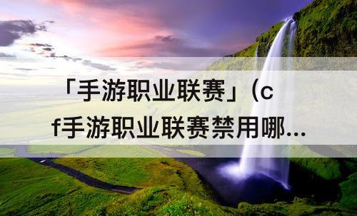 「手游职业联赛」(cf手游职业联赛禁用哪些枪)