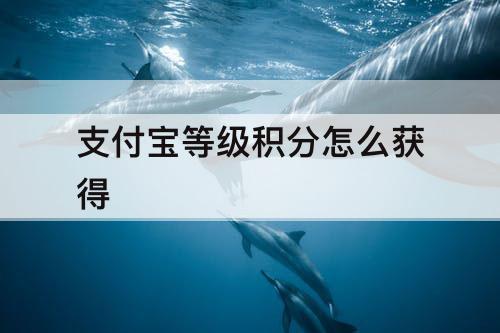 支付宝等级积分怎么获得