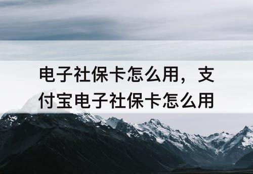 电子社保卡怎么用，支付宝电子社保卡怎么用